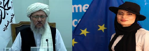 Maulvi Hanafi meets EU representative for Afghanistan