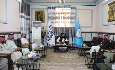 Arab organizations offer to launch fundamental projects in Nimroz