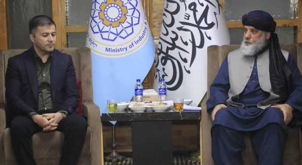 Afghanistan, Uzbekistan discuss cooperation in pharmaceutical sector