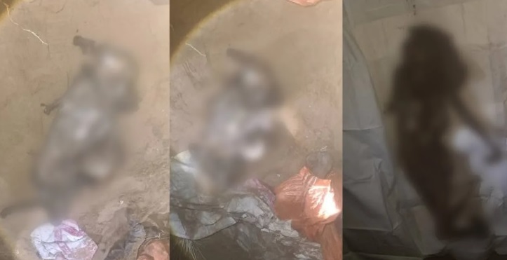 Bodies of three women found in Kandahar