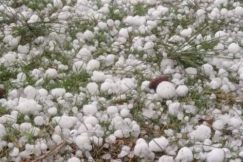 Hailstorm destroys standing crops on 400 acres of land in Laghman 