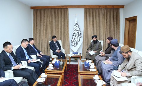 Pakistan testing IEA's  patience: Dr. Mohammad Naeem