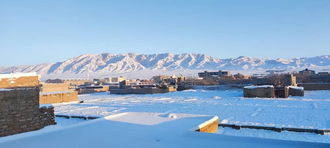 Cold weather perishes 2534 cattle in Nimroz 