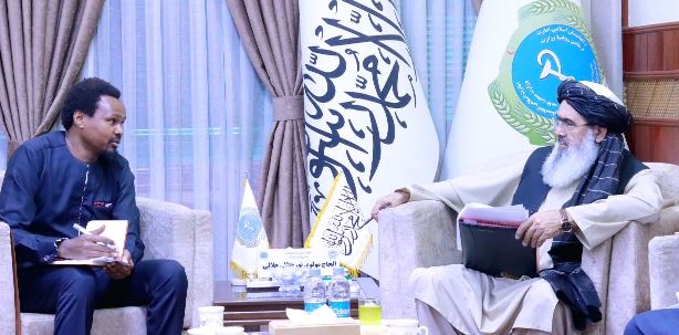 Afghan public health minister meets officials of international organisations 
