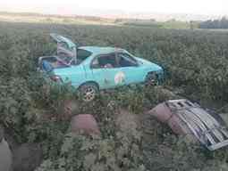 Three killed, nine injured in separate road mishaps