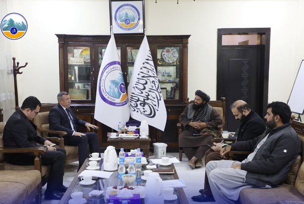 Minister of mines, Turkmenistan envoy  review Progress on TAPI gas pipeline project