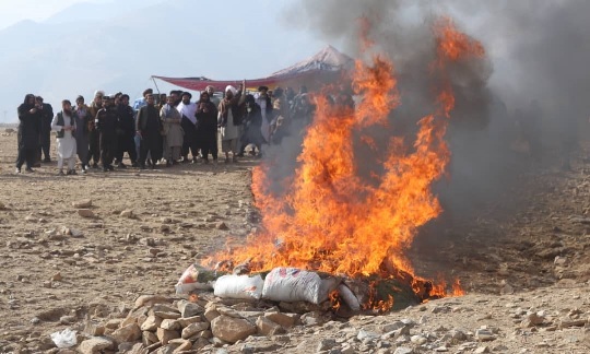 One ton of drugs torched in Parwan 