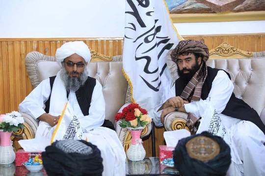 د هرات نوي والي په دنده پيل وکړ