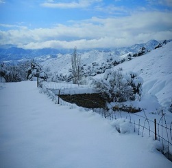 طبيعي پېښو کې پنځو تنو ژوند له لاسه ورکړی