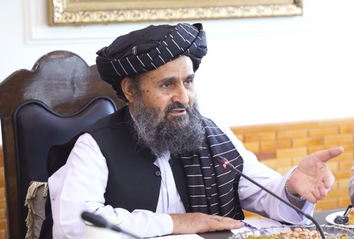 د کرنې او مالدارۍ سکتور د پراختيا ملي پاليسي تاييد شوه