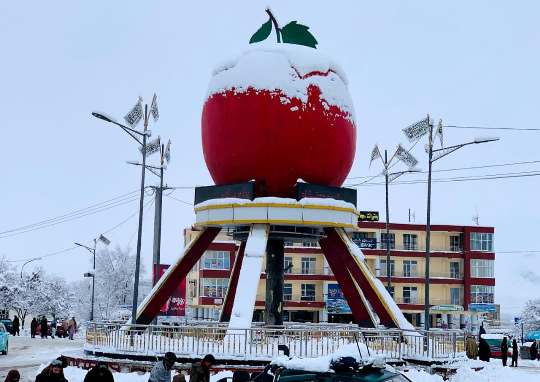 ميدان وردګو کې د ګاز ډبې چاوديدو له امله څلورو کسانو ته مرګ ژوبله رسيدلې