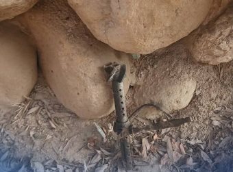 چاودنه کې دوه ماشومان مړه او دوه تنه نور ټپيان شوي دي