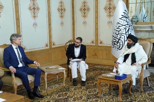 د رياست الوزراء مرستيالانو دالمان او هالنډ هیوادونو له استازو سره وکتل