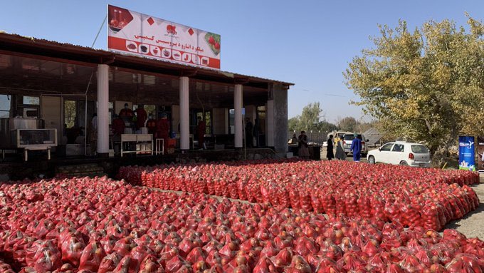 کندهار کې د انار د دانې د پروسیس نوې کارخانه پرانیستل سوه.