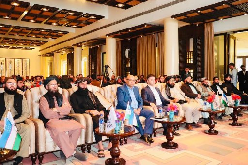 د افغانستان او ازبکستان د درملو سوداګرو ترمنځ ۱۳ قراردادونه لاسليک شول