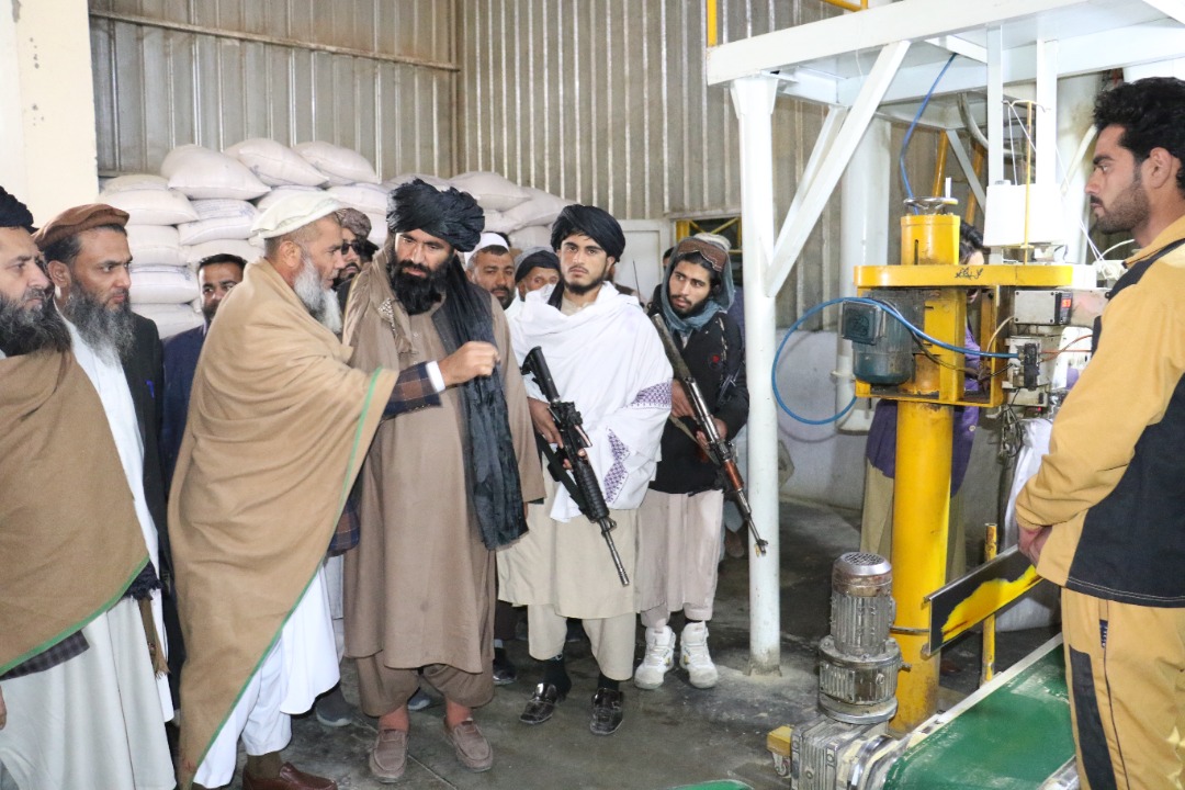 ننګرهار کې سلګونو کسانو ته د کار زمېنه برابره شوه