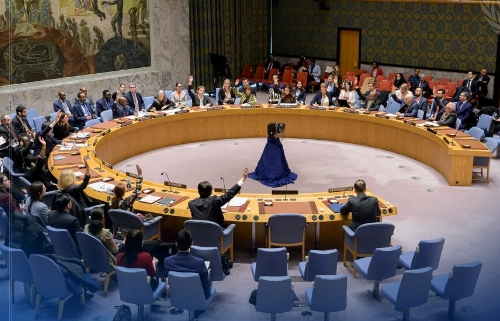 امنيت شورا کې د پاکستان او افغانستان ترمنځ د  جګړې پر درېدو ټينګار وشو